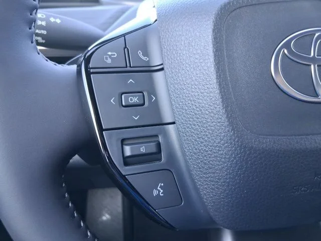 Nuevos TOYOTA C-HR à Estados chez autogozo