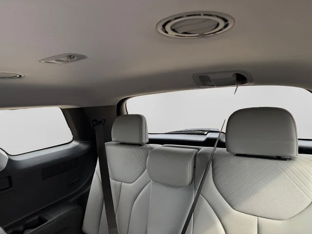 SEMINUEVOS HYUNDAI Palisade a Estados en autogozo