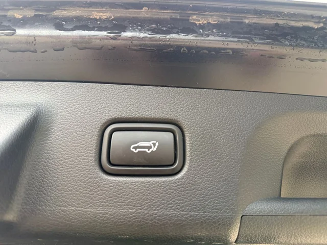 SEMINUEVOS HYUNDAI Palisade a Estados en autogozo