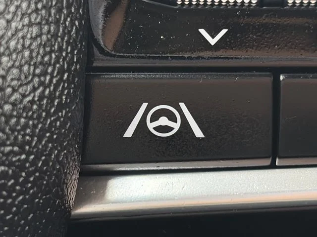 SEMINUEVOS KIA Carnival a Estados en autogozo