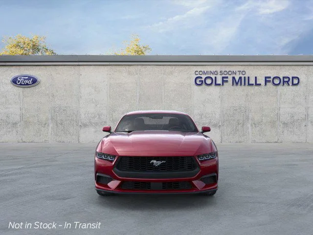 Nuevos FORD MUSTANG à Estados chez autogozo