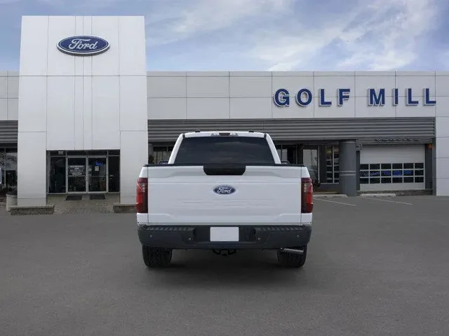 Nuevos FORD F-150 à Estados chez autogozo
