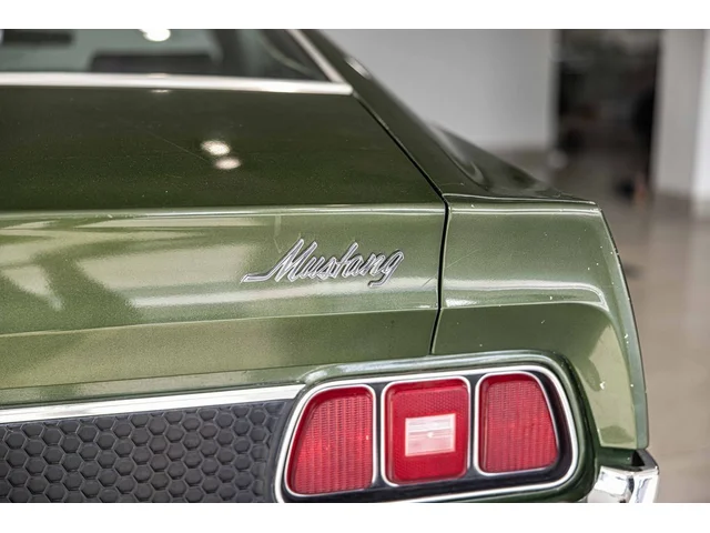 SEMINUEVOS FORD MUSTANG MACH-E a Estados en autogozo