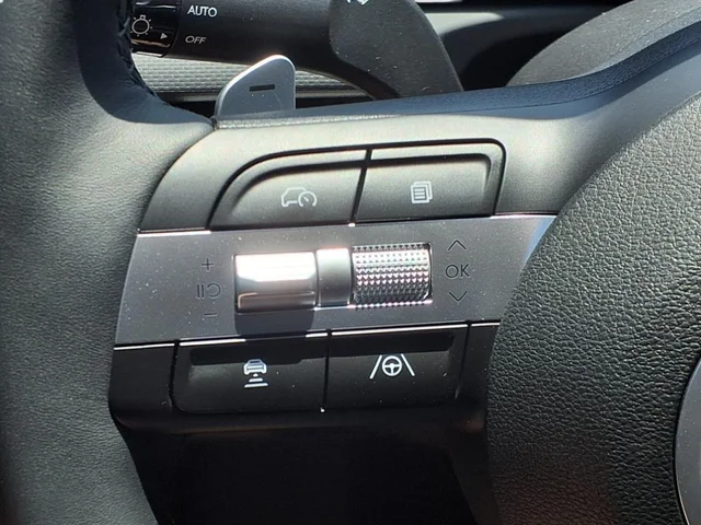 Nuevos HYUNDAI SANTA CRUZ à Estados chez autogozo