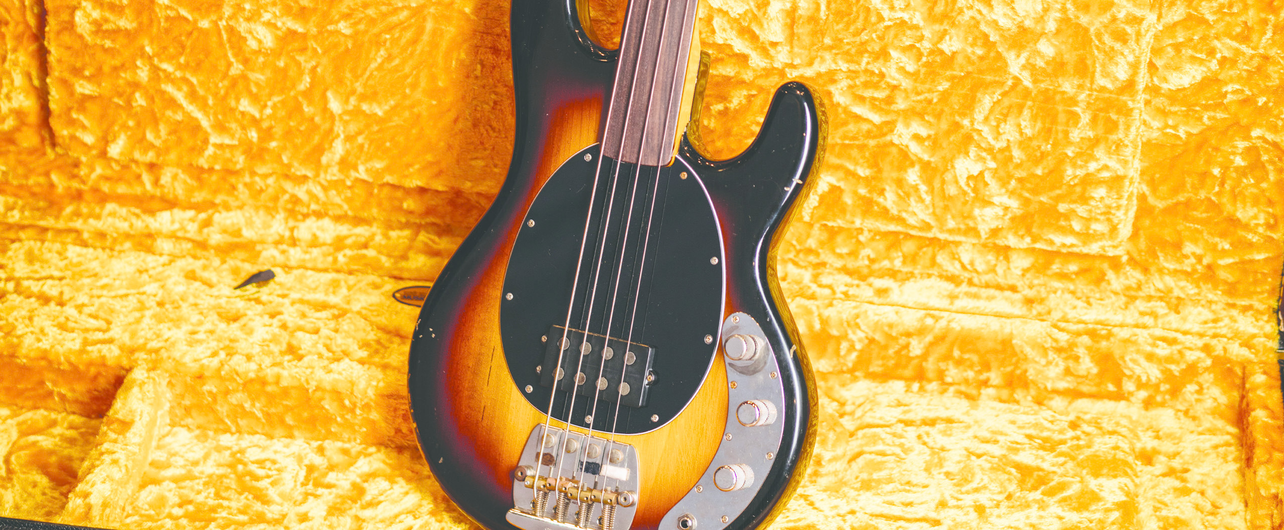 Pino Palladino Icon Series Slide