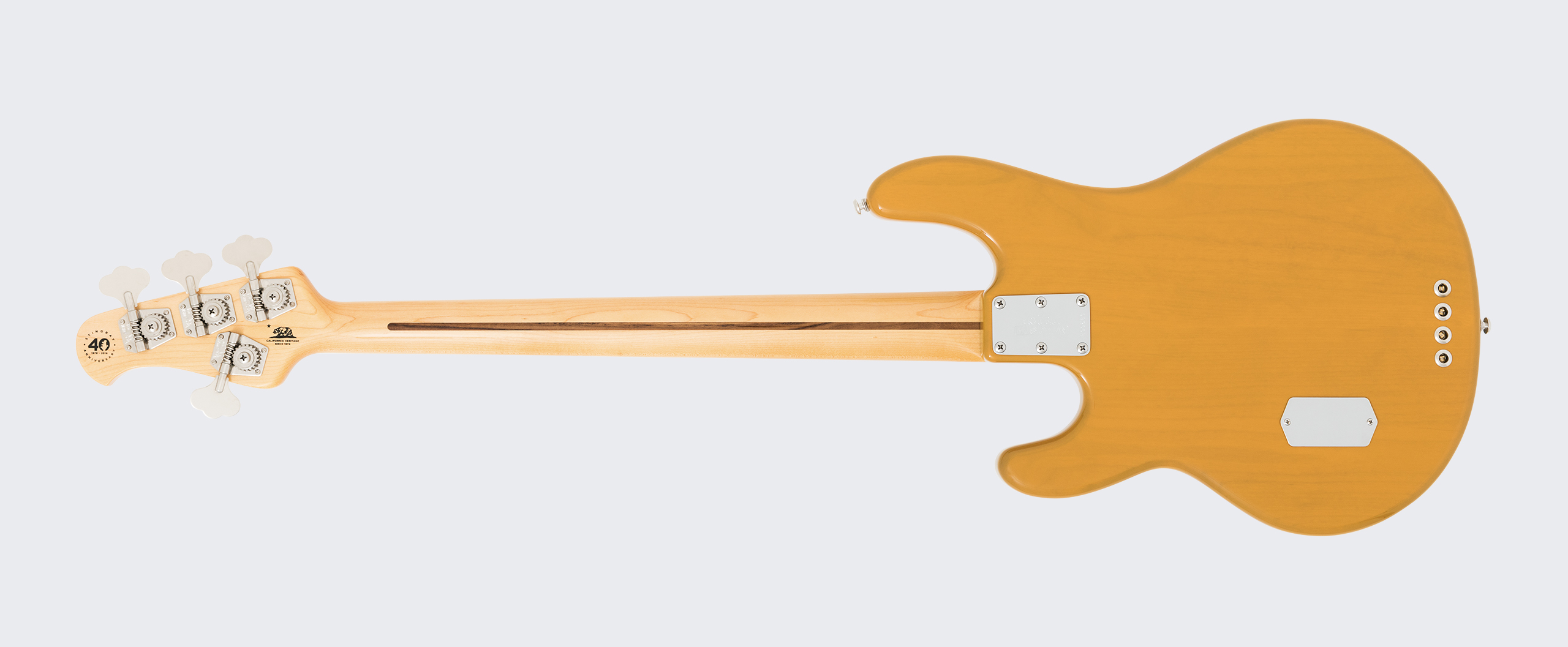 StingRay Old Smoothie Slide