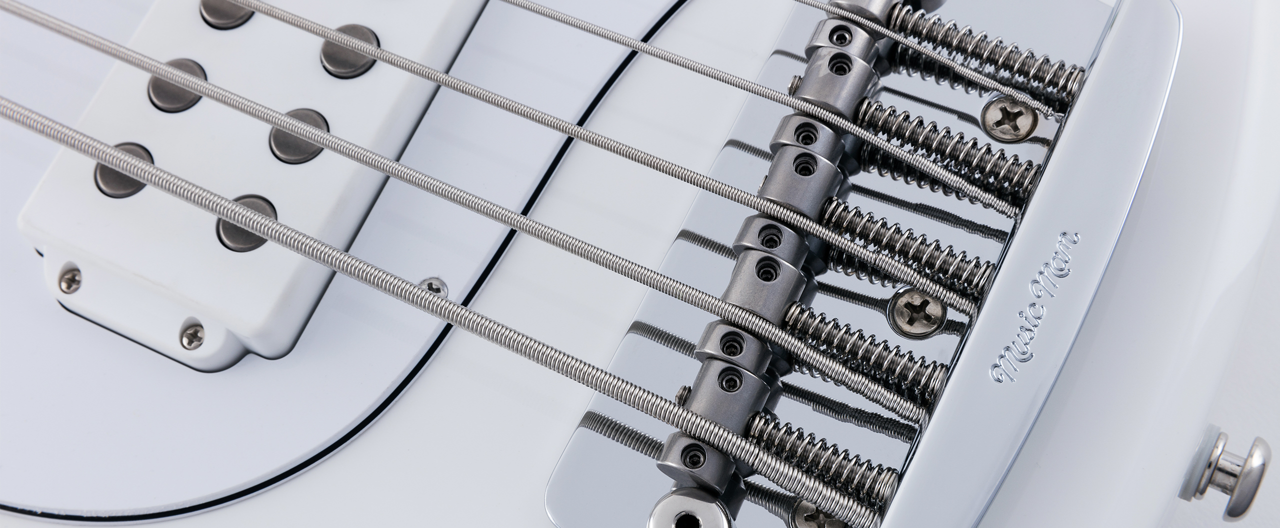 StingRay5 Neck Through Slide