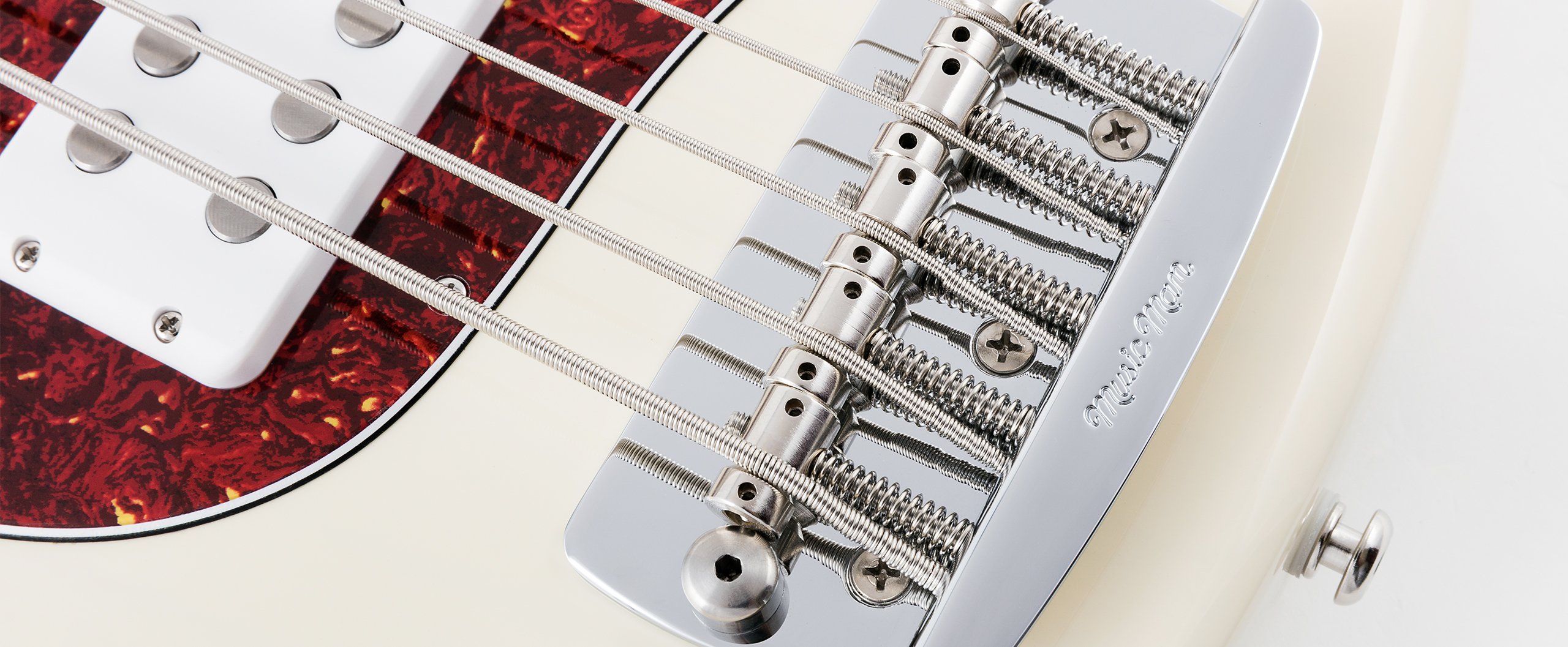 StingRay5 30th Anniversary Slide