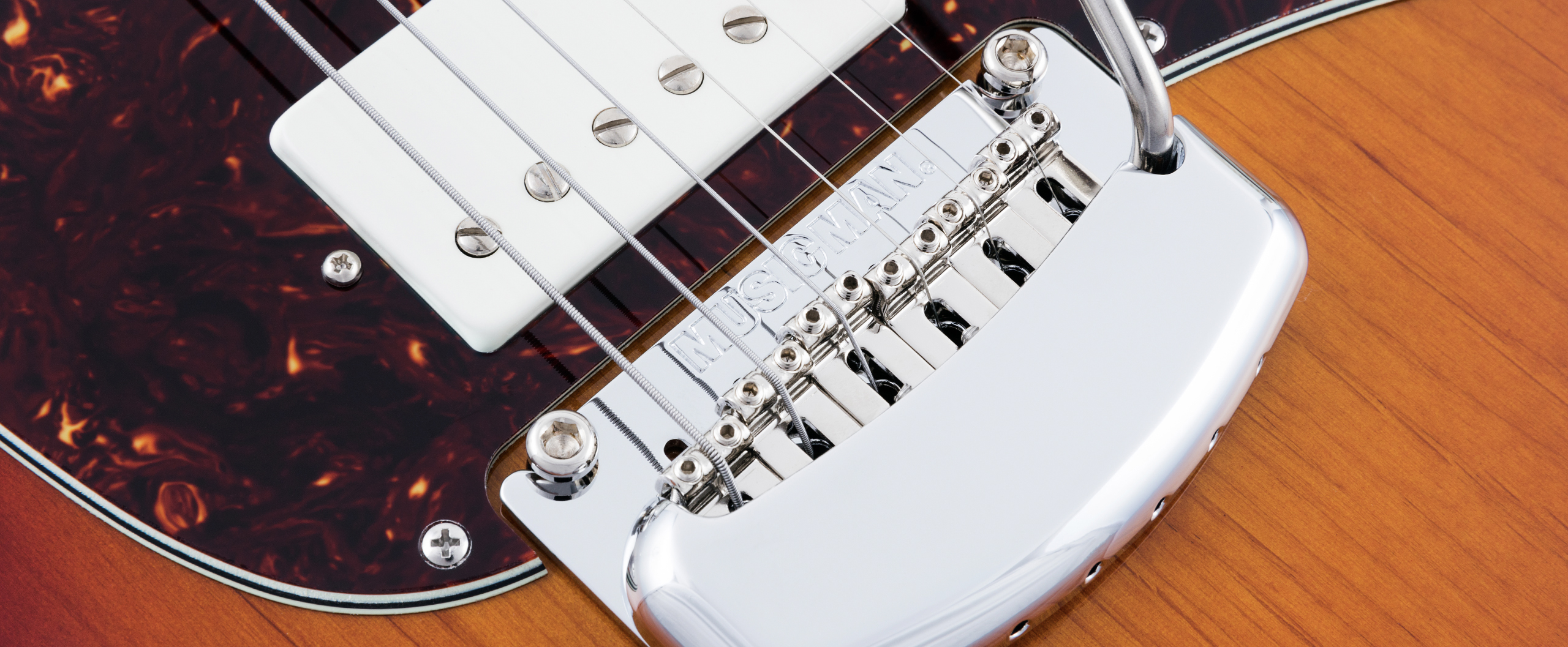 Cutlass HSS 2017 Slide