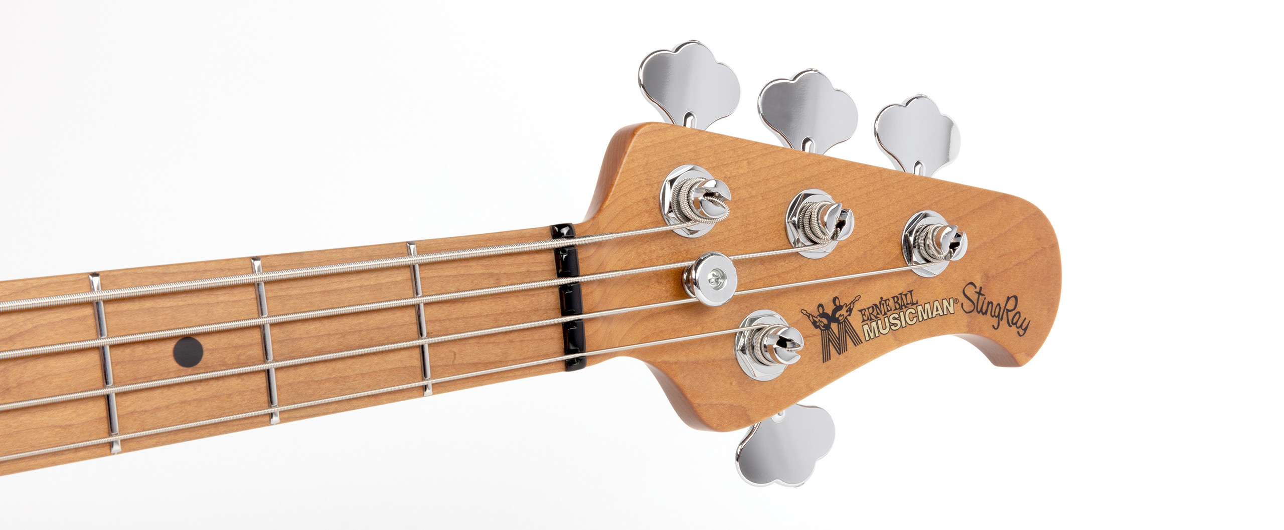 Tim Commerford Slide