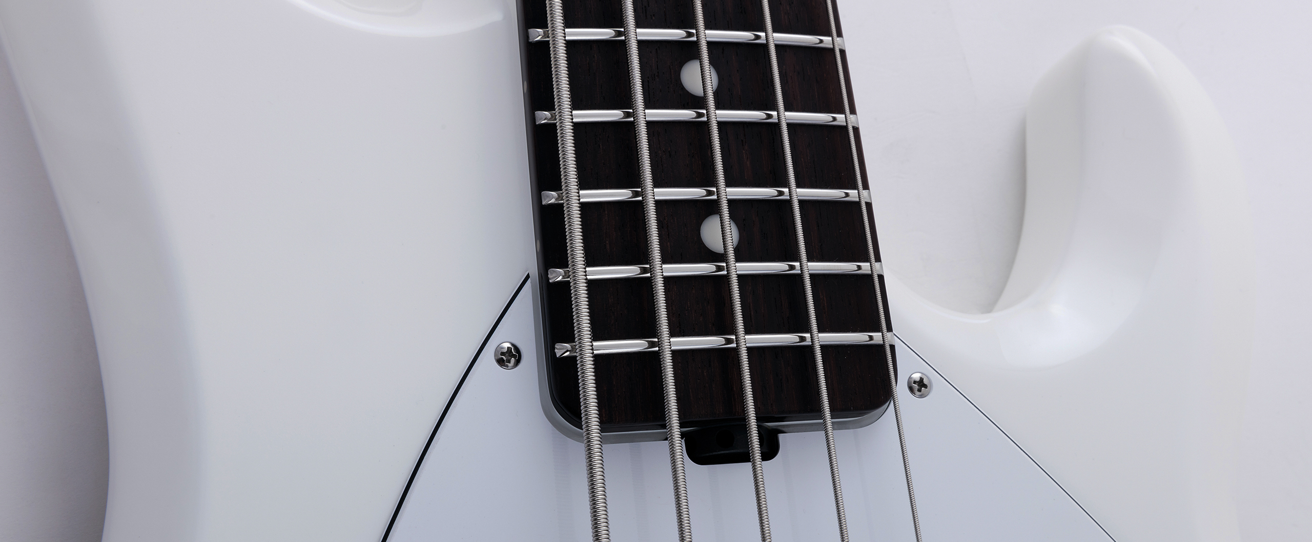 StingRay5 Neck Through Slide