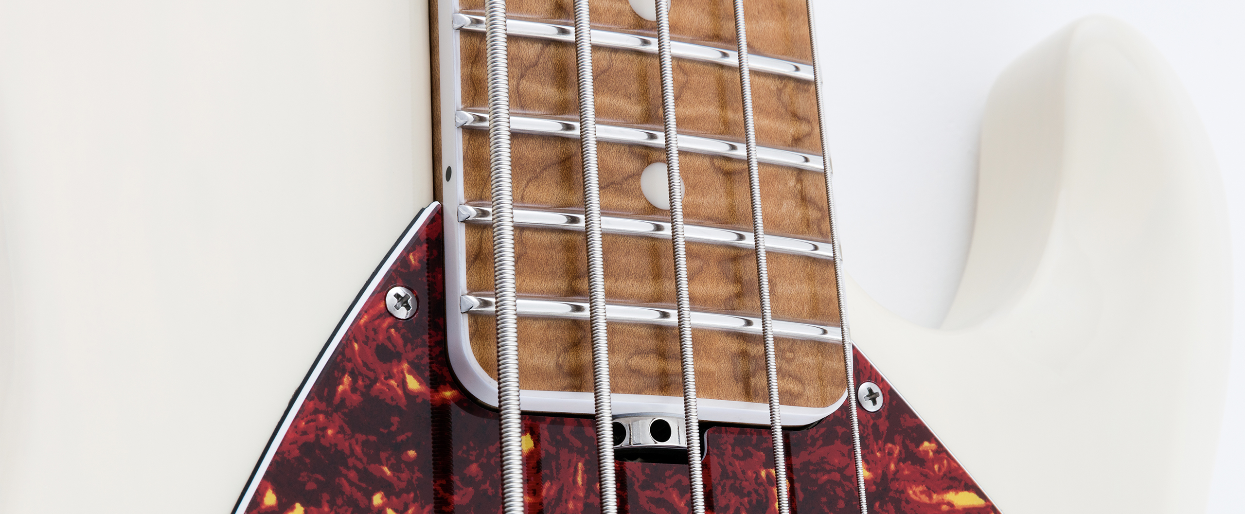 StingRay5 30th Anniversary Slide