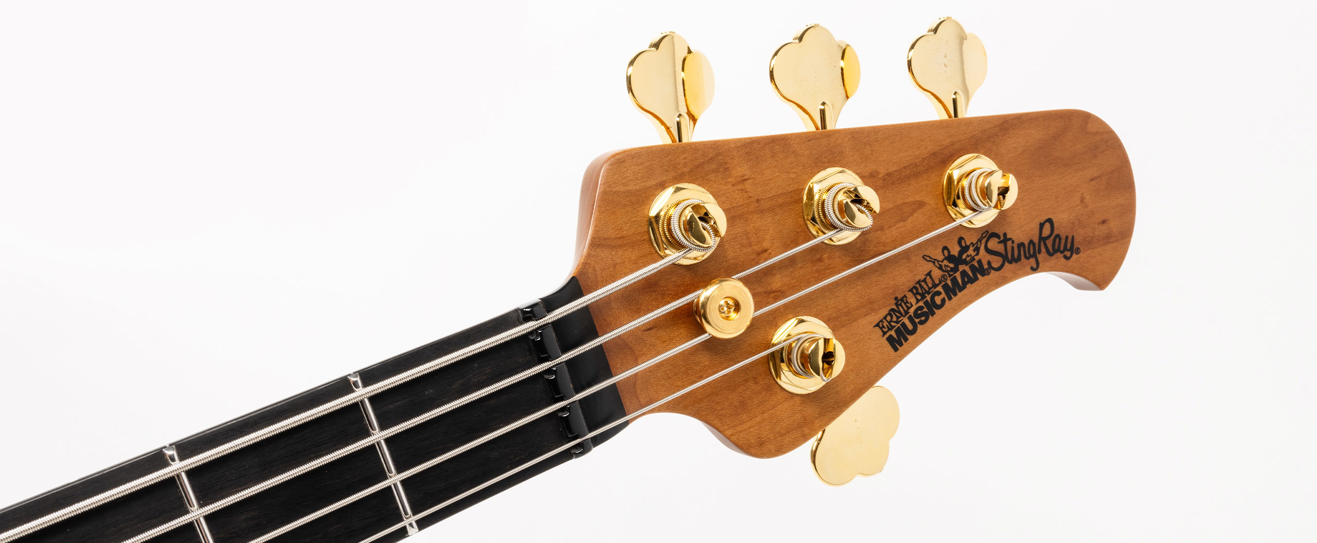 StingRay Special Slide