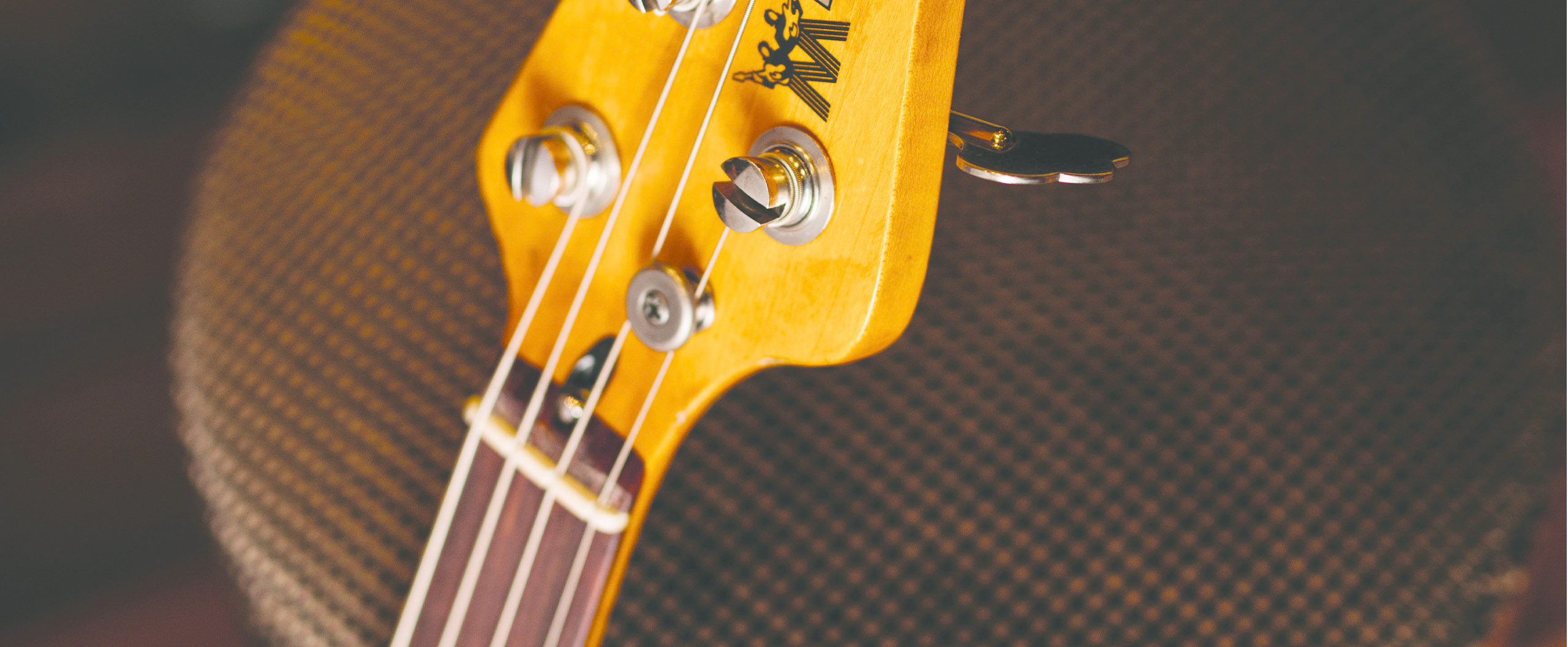 Pino Palladino Icon Series Slide