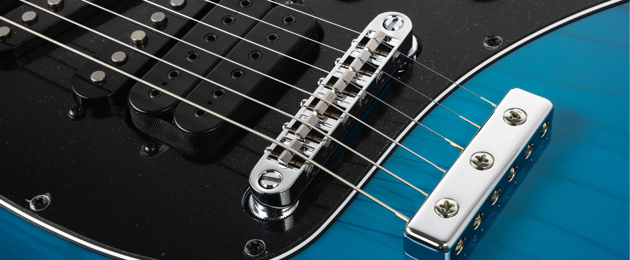 Steve Morse Slide