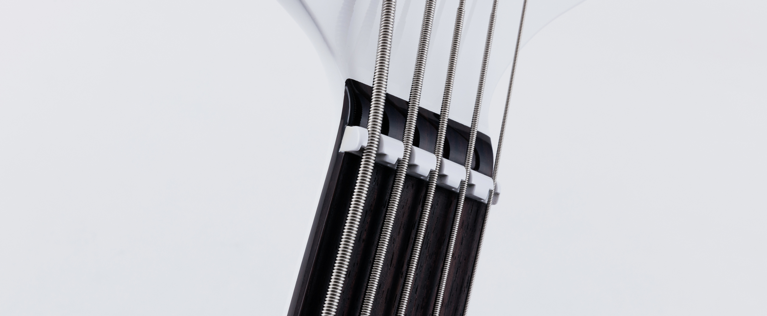 StingRay5 Neck Through Slide