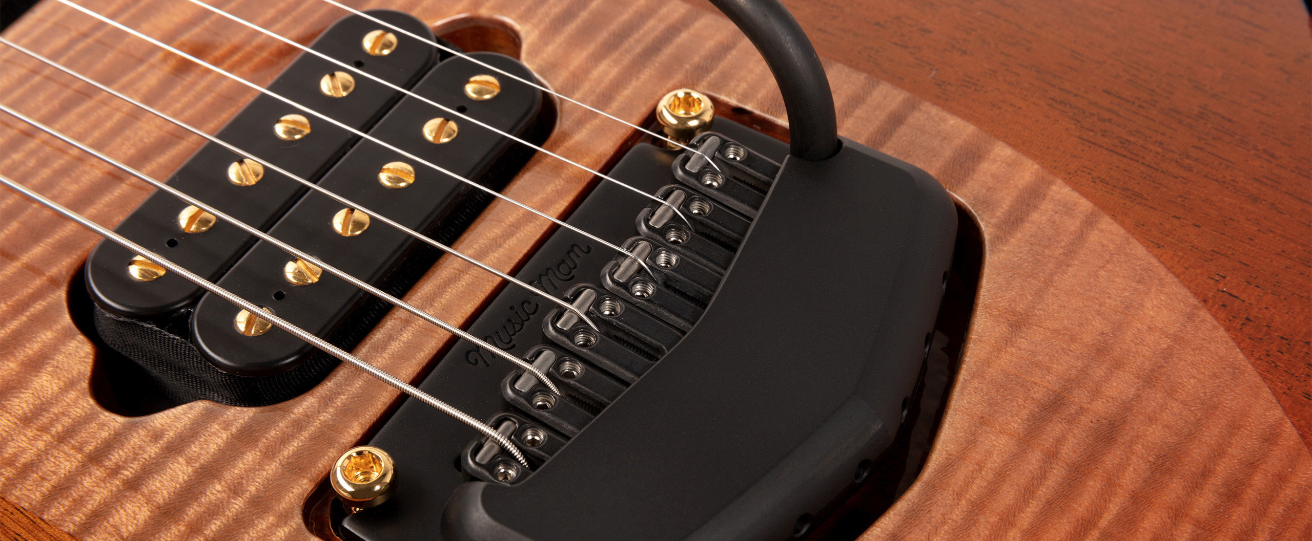 Majesty 20th Anniversary Slide