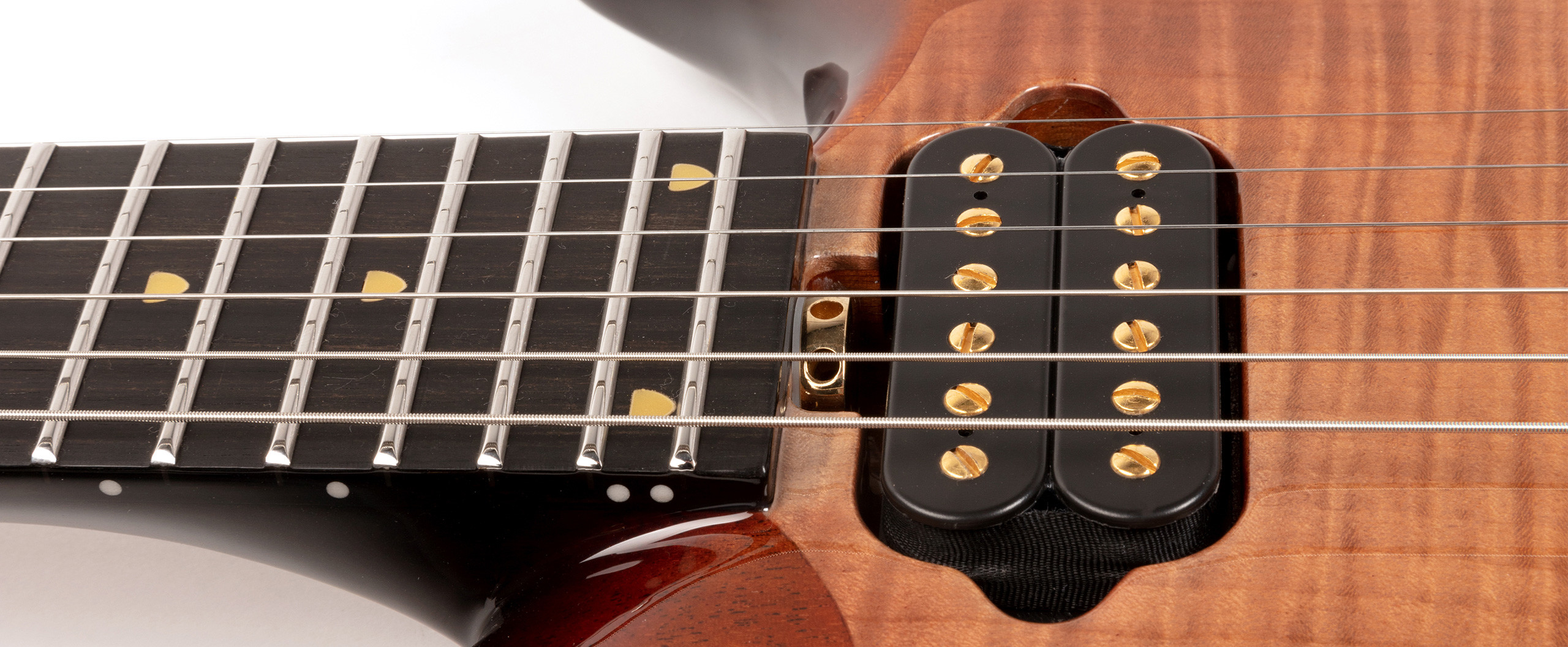 Majesty 20th Anniversary Slide