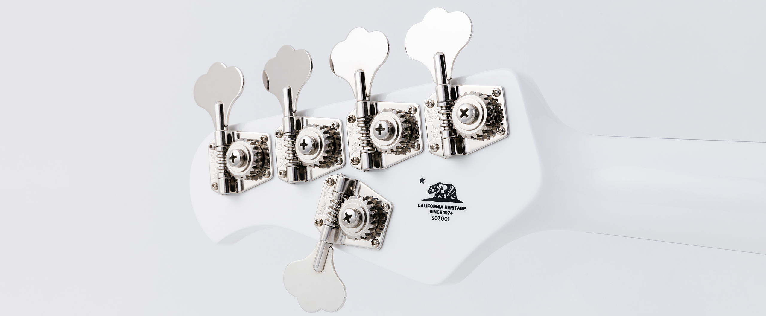 StingRay5 Neck Through Slide