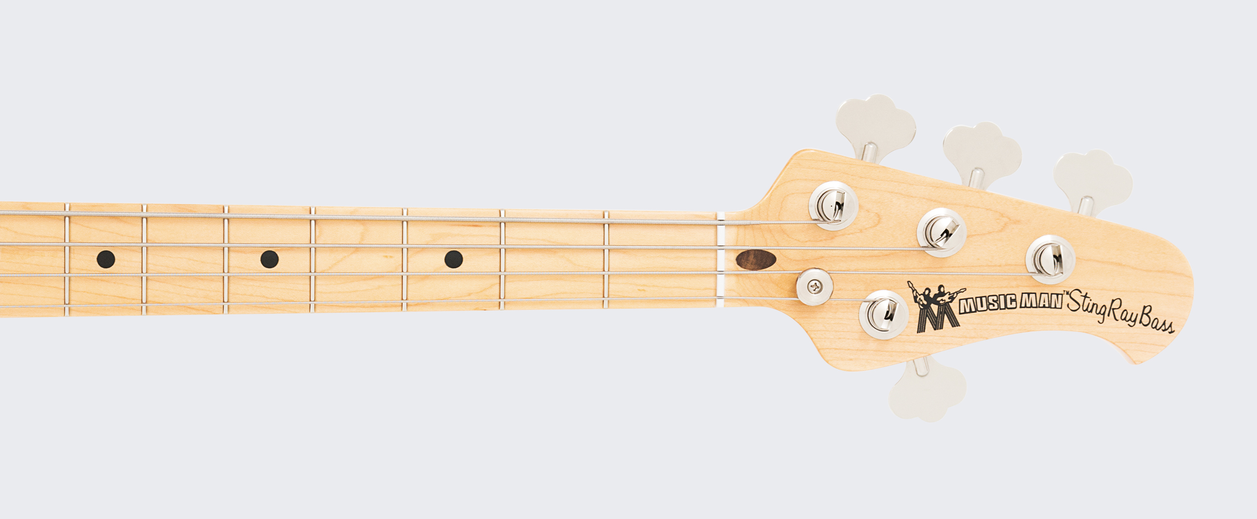 StingRay Old Smoothie Slide