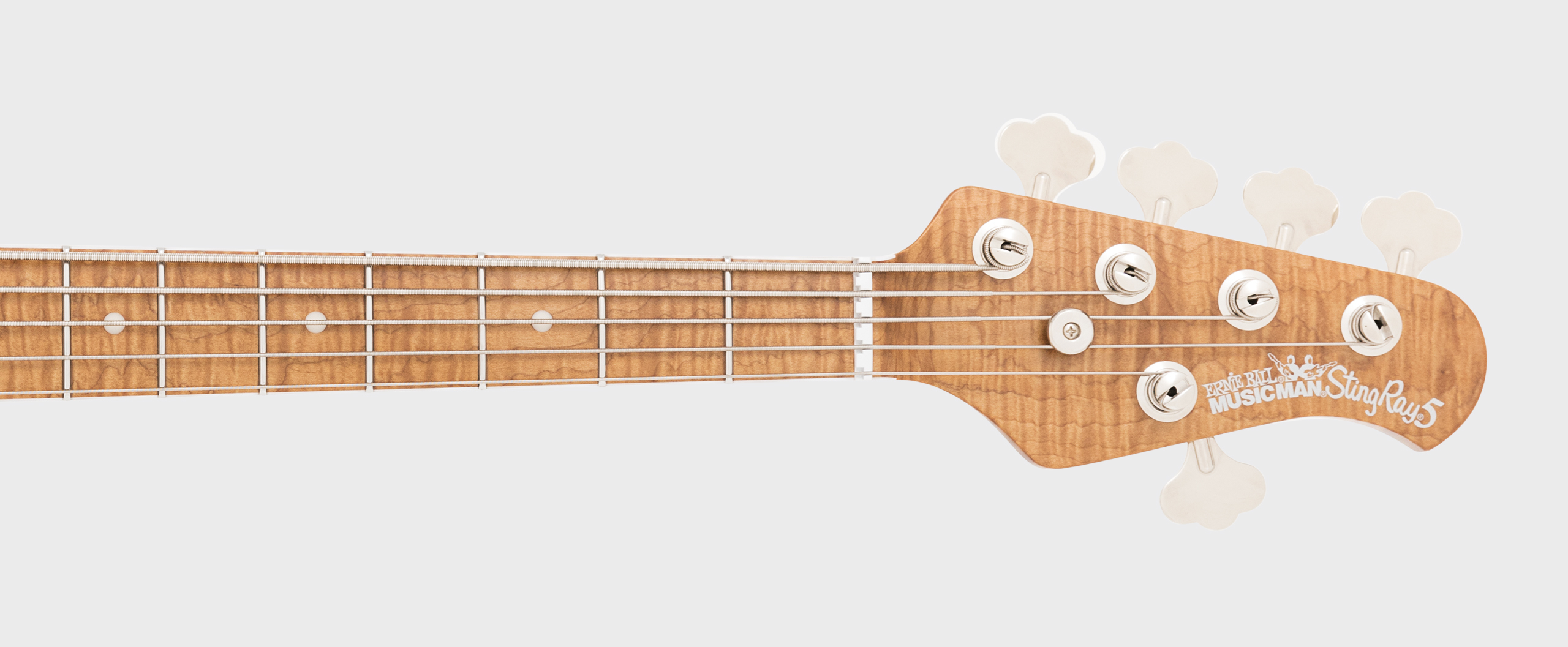 StingRay5 30th Anniversary Slide