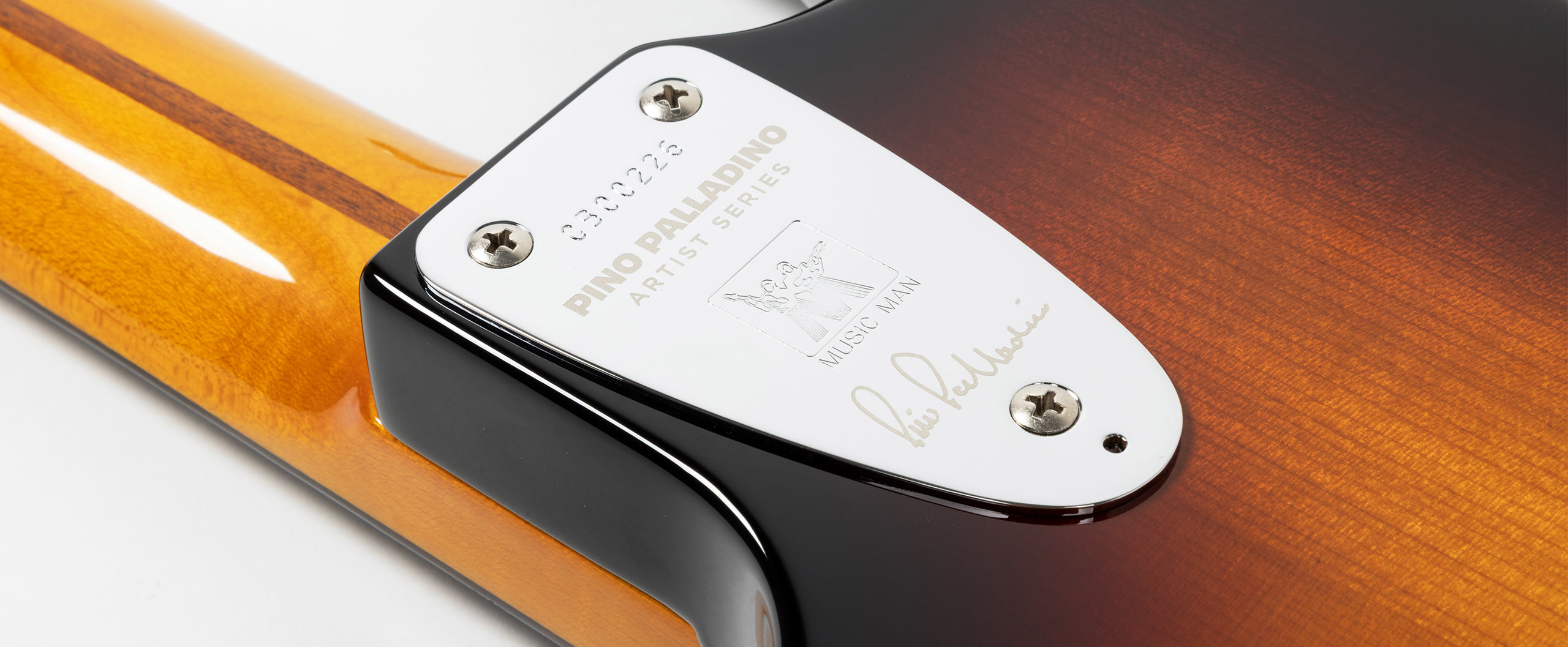 Pino Palladino Slide