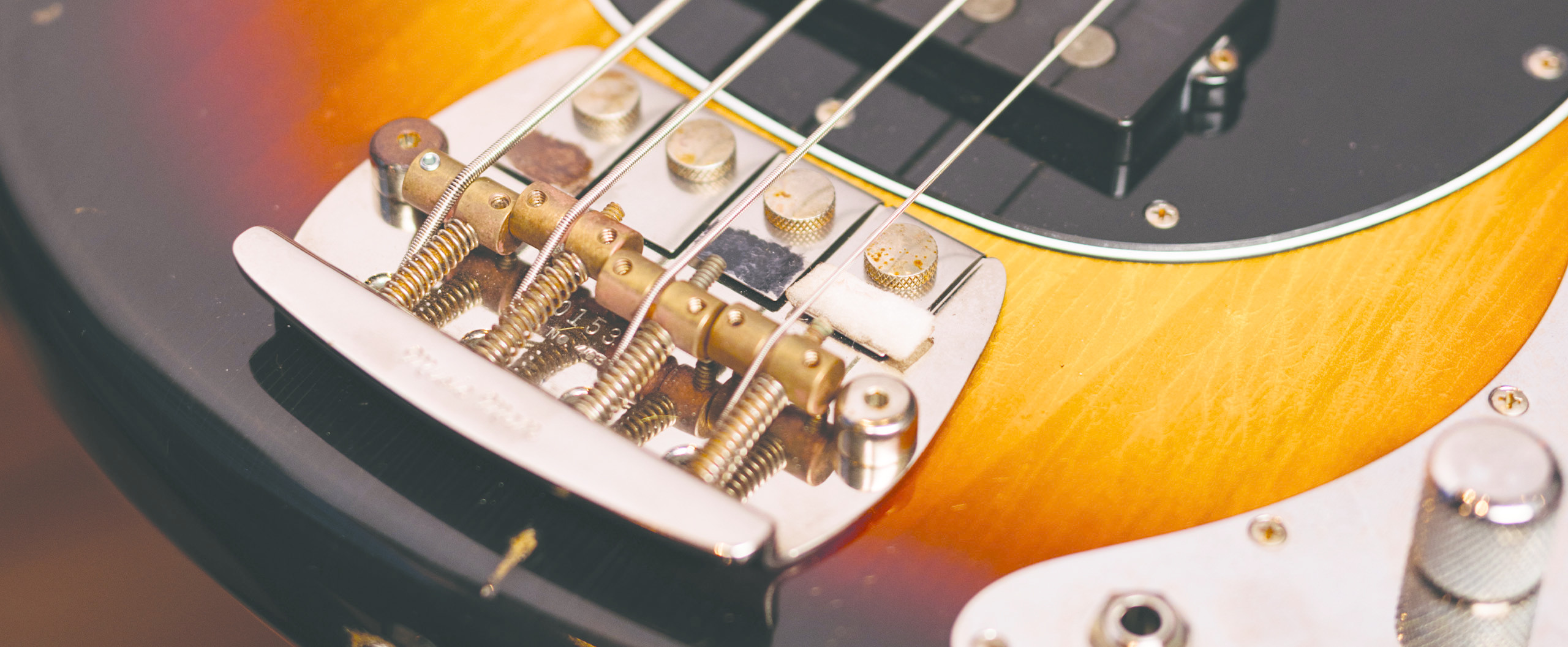 Pino Palladino Icon Series Slide