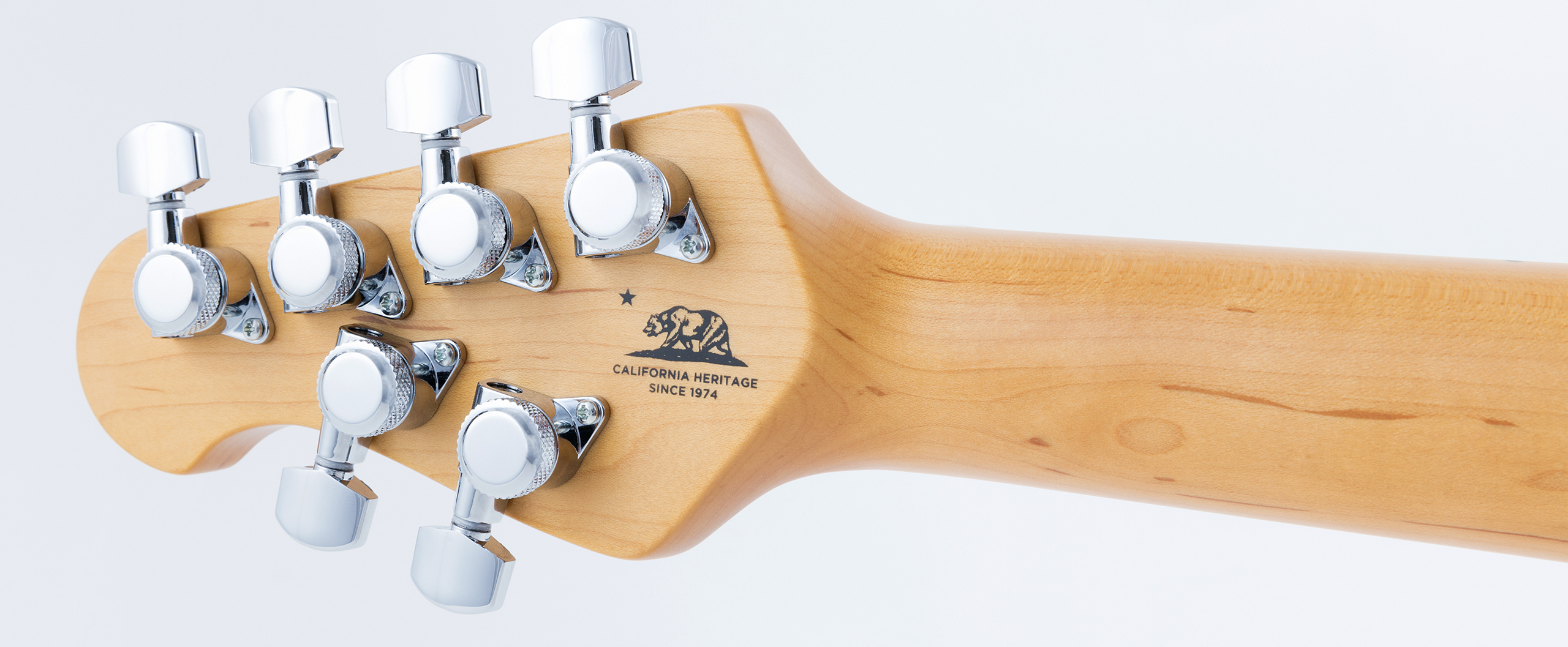 StingRay Guitar 2017 Slide