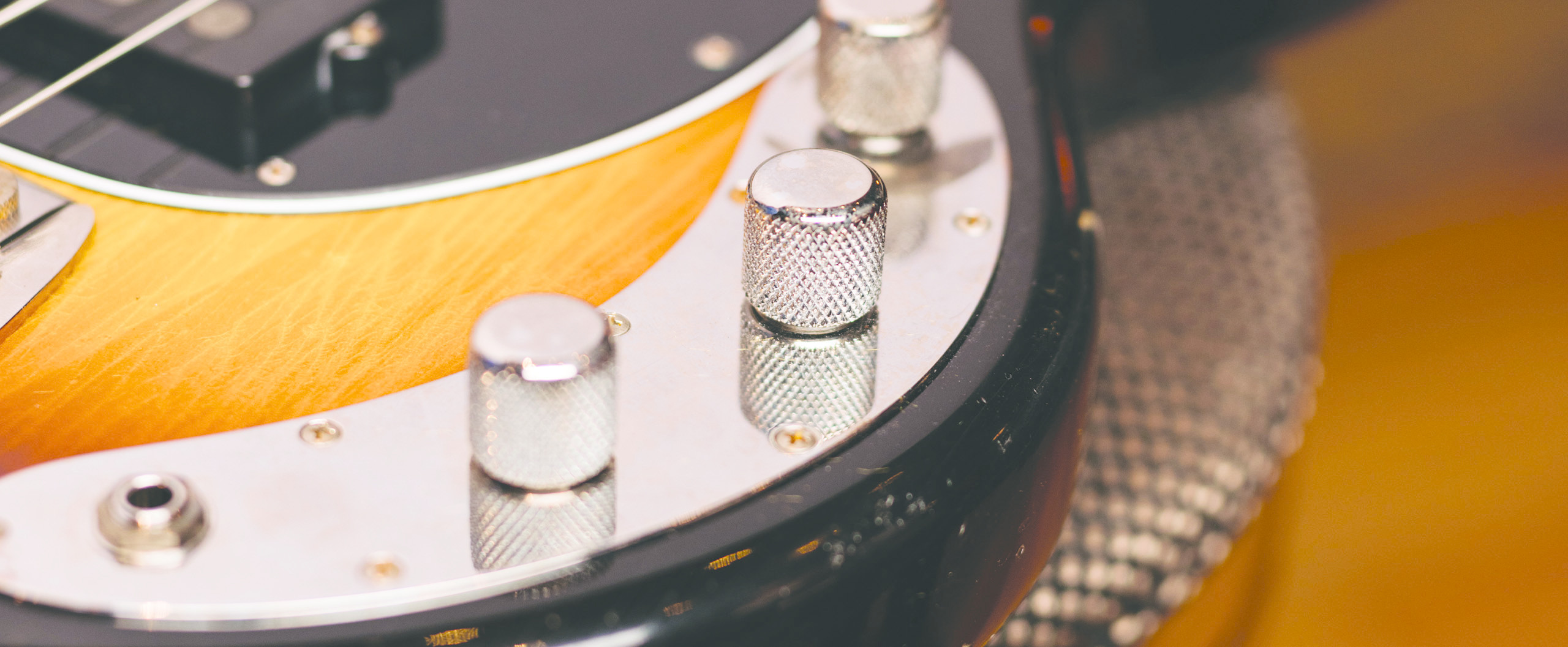 Pino Palladino Icon Series Slide