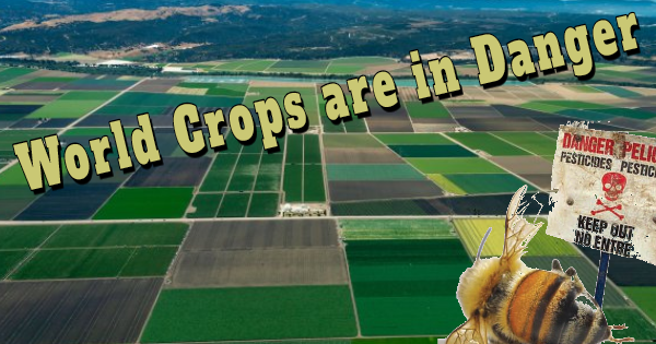 FOOD SCARCITIES IN OUR FUTURE Prophecy Updates And Commentary