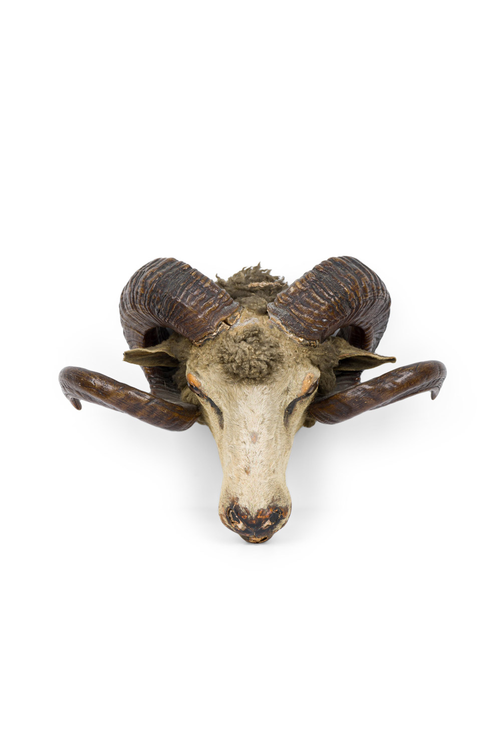 Rustic ram s head taxidermy 1