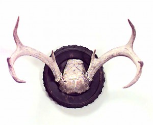 Rustic taxidermy anter plaque