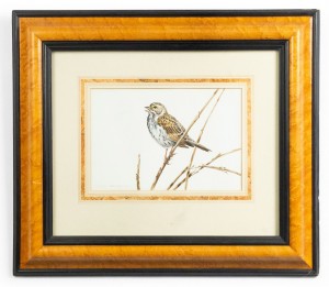 English victorian bird watercolor 38
