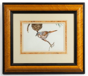 English victorian bird watercolor 40