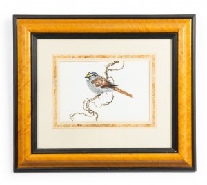 English victorian bird watercolor 37