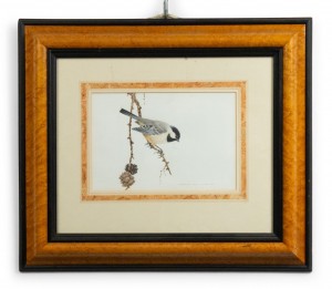 English victorian bird watercolor 35