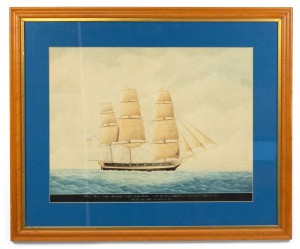 American watercolor wasp painting