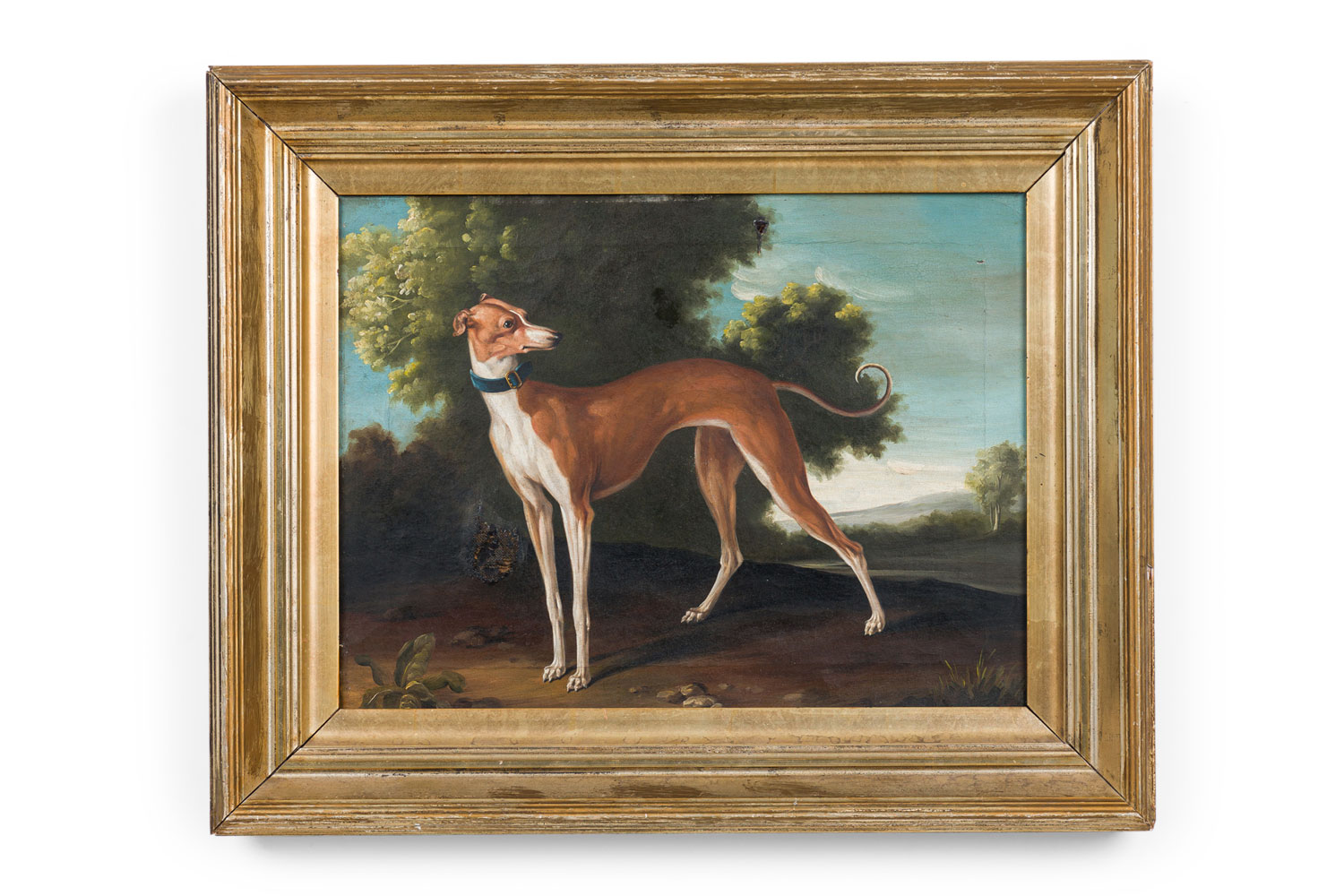 English victorian greyhound dog painting