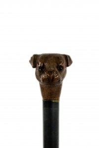 English victorian bull dog cane
