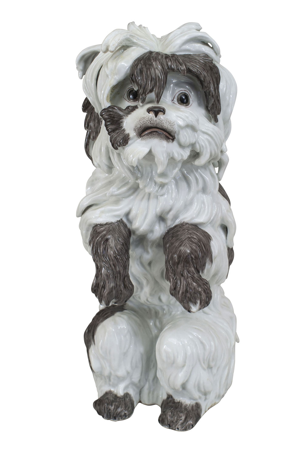 German porcelain terrier dog