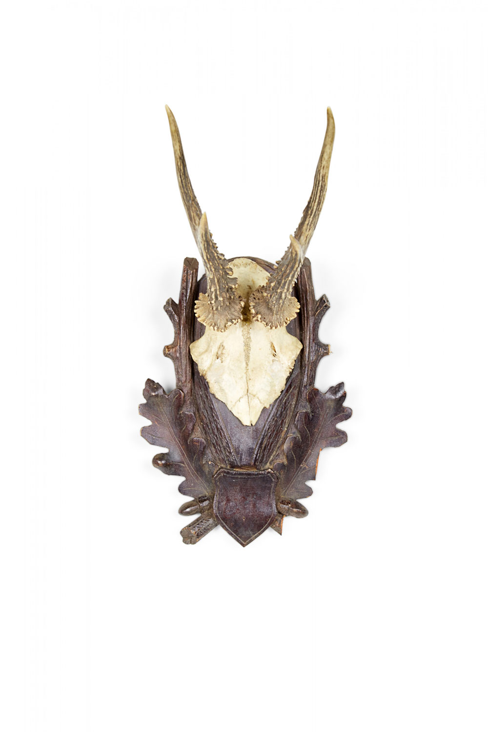 American Country Style Taxidermy Antler Plaque