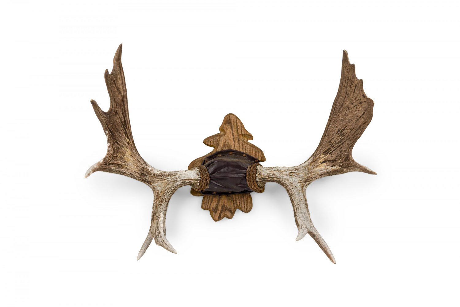 Rustic decorative moose antler oak leaf wall plaque