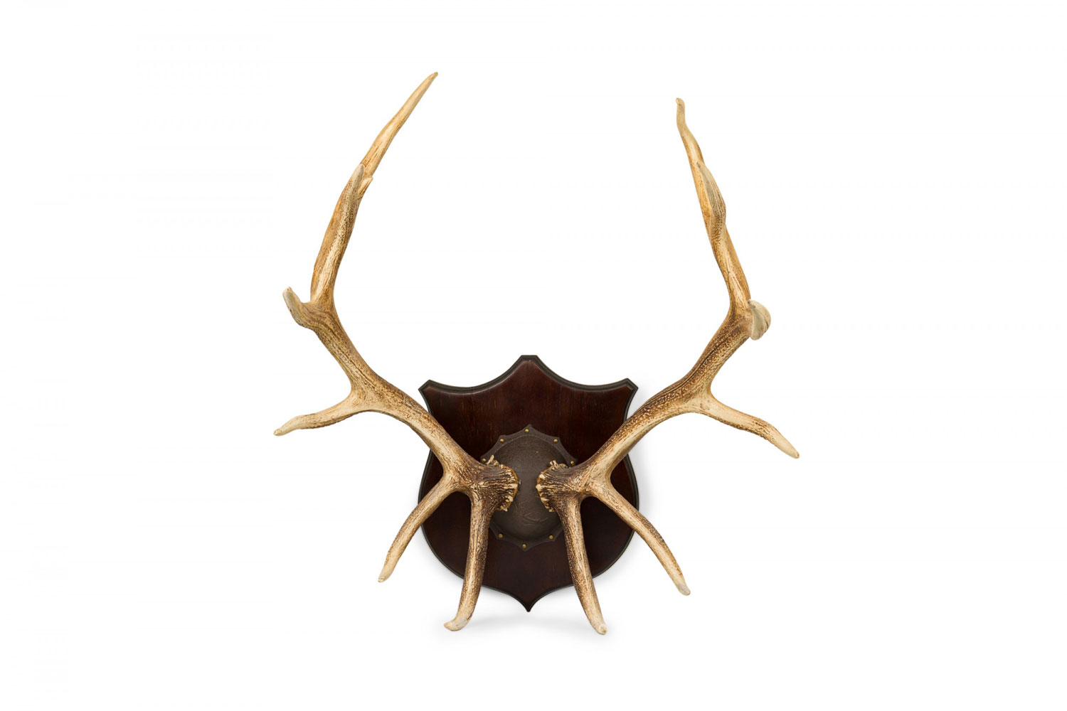 Rustic decorative elk antler and wood wall plaque