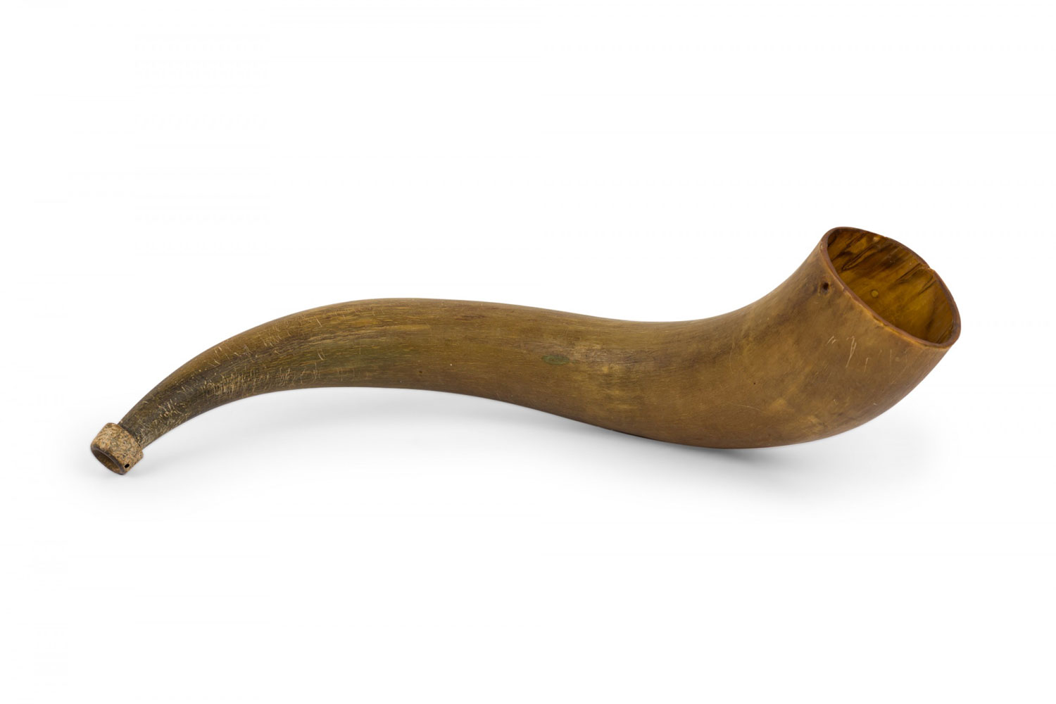 Rustic decorative steer horn