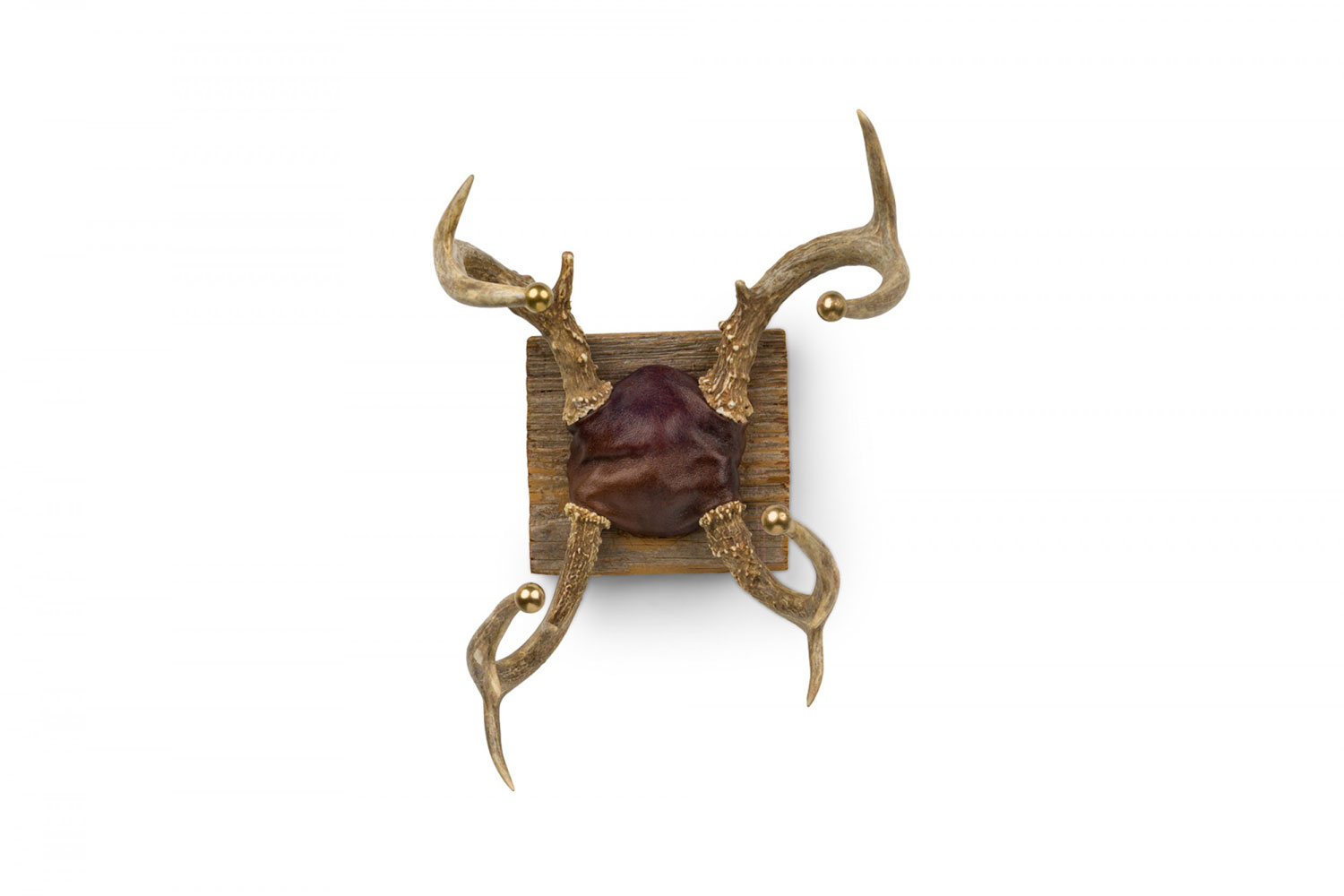 Rustic four deer antler and leather taxidermy wall decoration