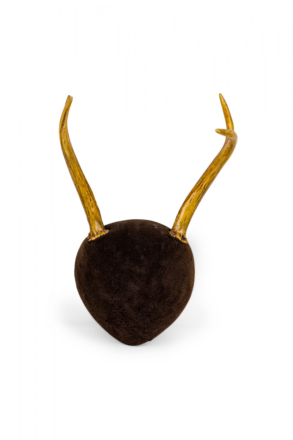 Rustic deer antler and dark brown velvet taxidermy wall decoration