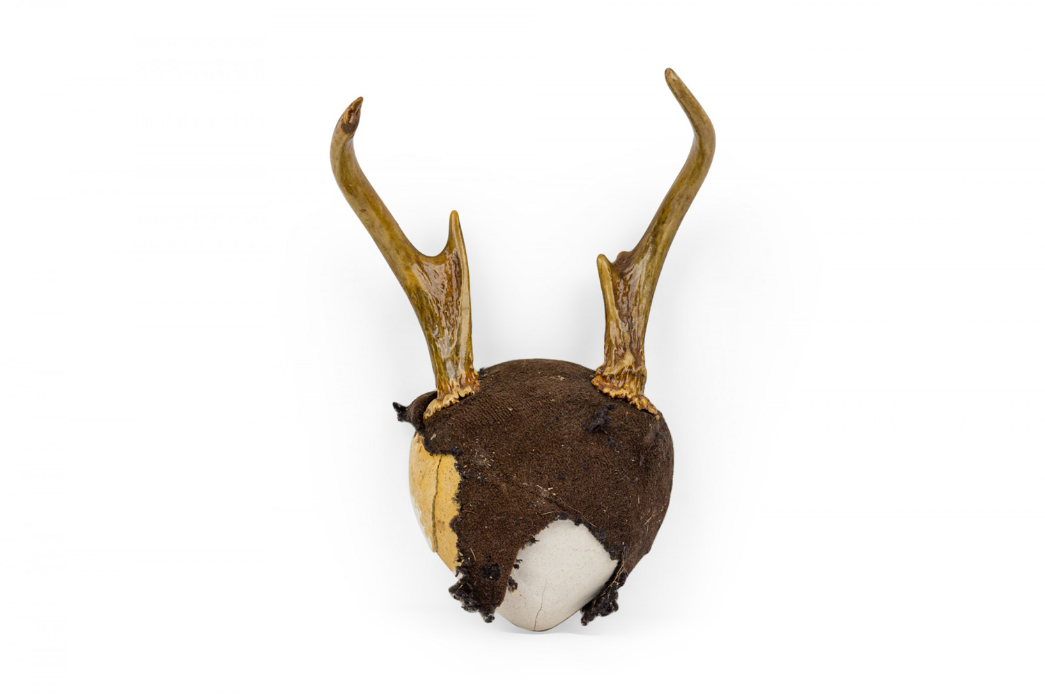 Rustic small deer antler wall plaque