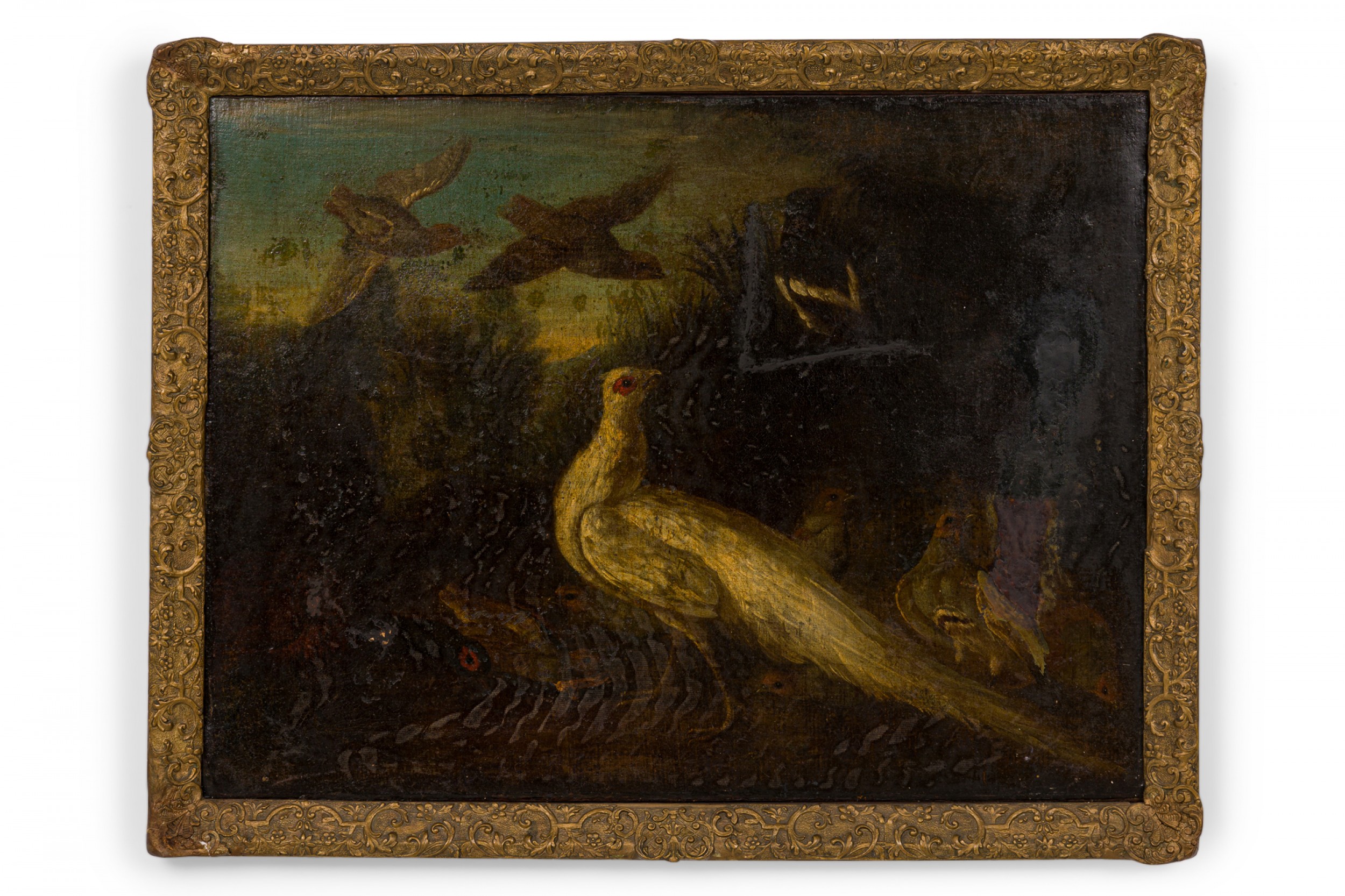 Italian renaissance style oil painting of a white peacock and other birds in a giltwood frame