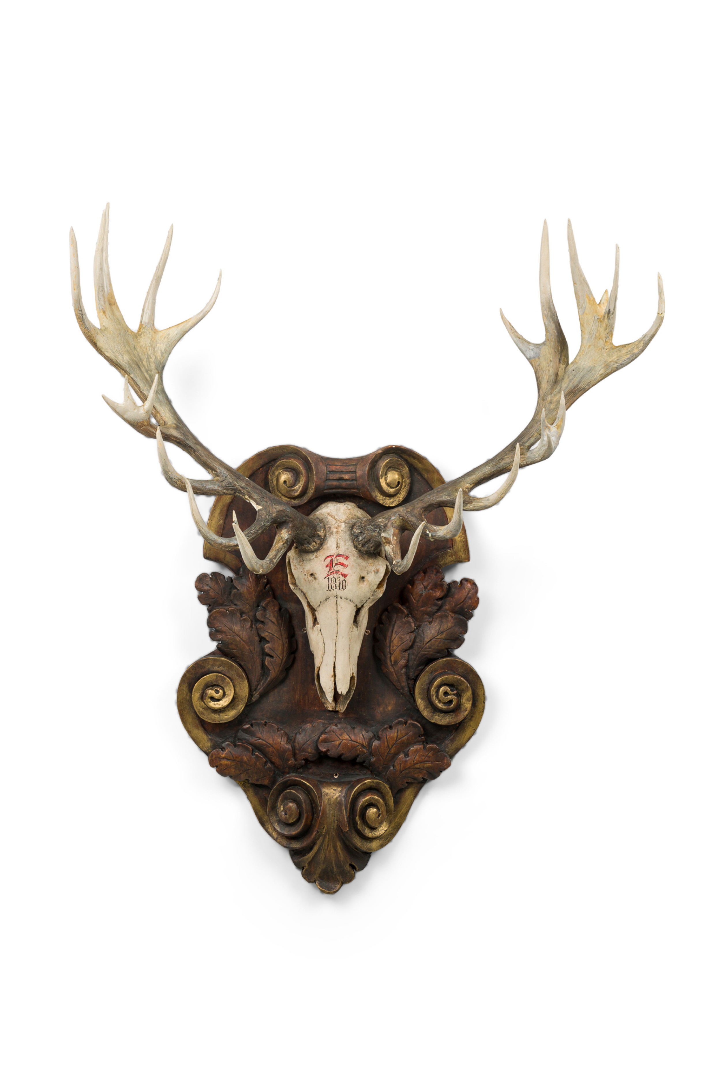 Continental rustic wall plaque of elk head with red painted e