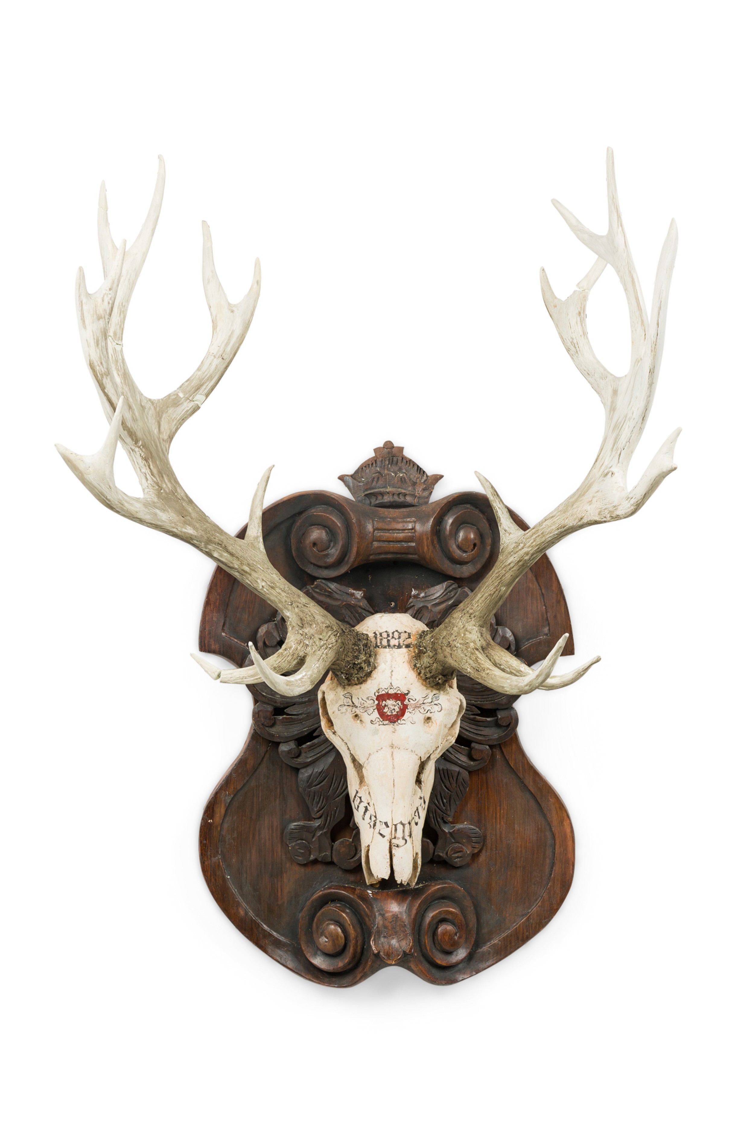Continental rustic wall plaque of a elk skull with red insignia 